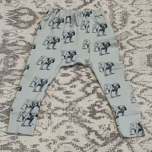 Kate Quinn bulldog pants